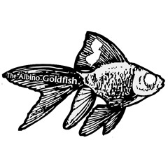 The Albino Goldfish.