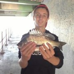 Dion John Maragozidis