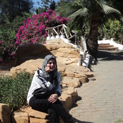 Samar M.elsawey