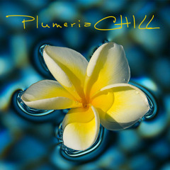 plumeriachill
