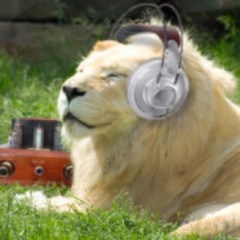lovetuned