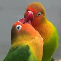 Positive Vibration 7