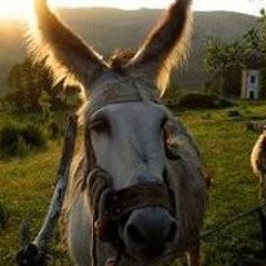 The Telluric Currents