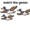 Dem Geese