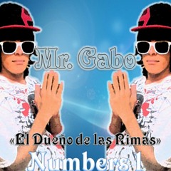 Mr. Gabo
