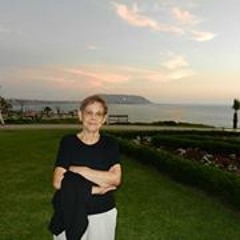 Juan Carlos Santibanez