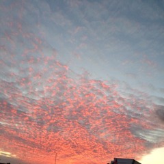 sublime