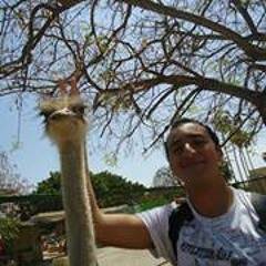 Ahmed Gelany
