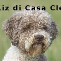 Susanne U. Andreas Freese