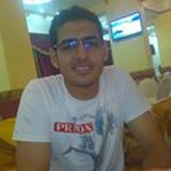 Mohamed Ghoniem 3