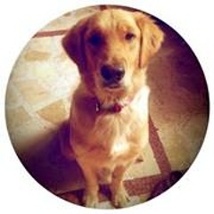 Christianne Dondoyano