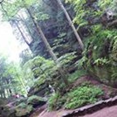 Chance Brinkman-Sull