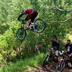 Shane Thoreson
