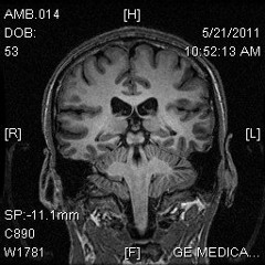 For The Sake Of Science