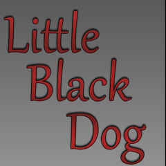 Little Black Dog