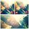 Shami Bestie Bedneau