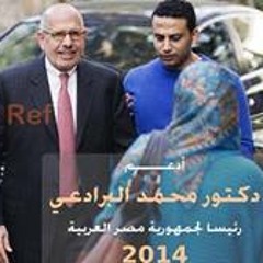 Ahmed Elkashef 3
