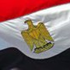 Amr Mahmoud Awad