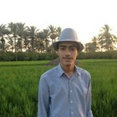Ahmed Saeed Elewa