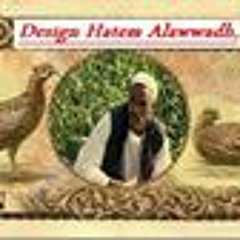 Hatim Abdalrheem Alawdh