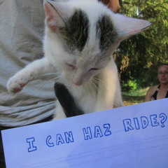 I Can Haz Ride?