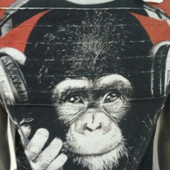 Funky--Monkey