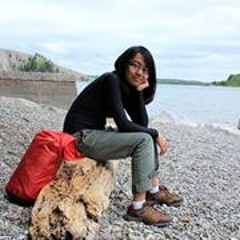 Dianne Marie Volante