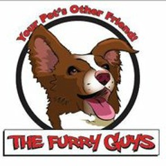 FurryGuys PetSitters