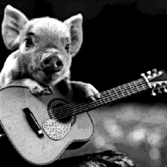 Raised on Dirt Roads