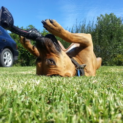 skruff