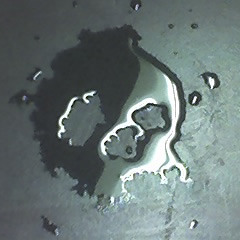 CompressionHead