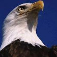 Washington Carvalho 2