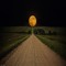 abdullah_sh