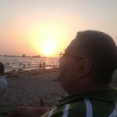 Ahmed M. Elbanna
