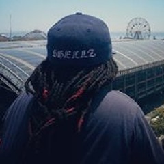 Shelly Shellzz