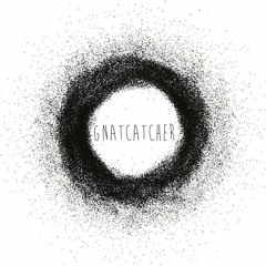 gnatcatcherband