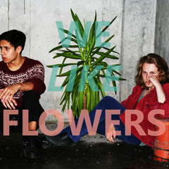 We Like Flowers