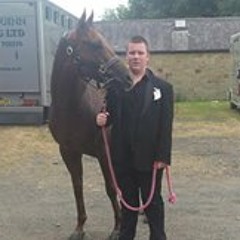 Liam Equestrian Durnio