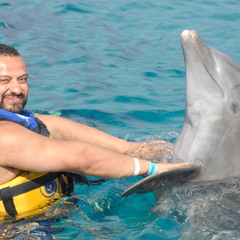 Willy-Dee