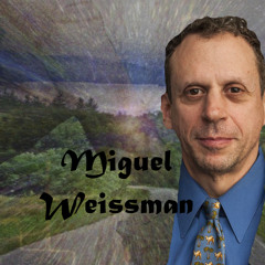miguelweissman