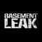 Basement Leak