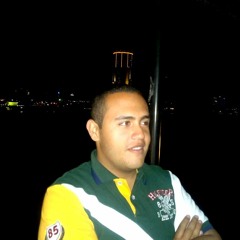 Moustafa Elsayed 1