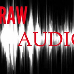 Raw Audio 1