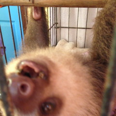 marz like the planet