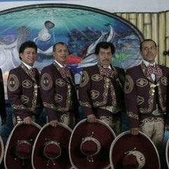 Mariachi Aguascalientes