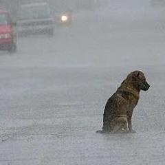 Rada SAVOEURN អាយធី)