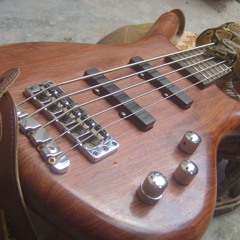 CelloBassLong2013