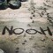 noah hood