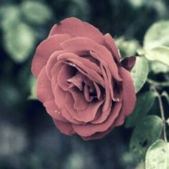 اتحرى العيـد*