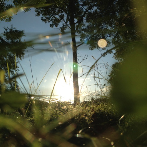 Hommage au Echospace